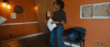 best-prank-gifs-trex.gif