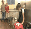 anigif_enhanced-buzz-3001-1398131971-9.gif