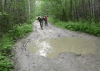 1-140406112J5143.gif