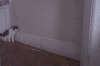 91e28da1afc8301b1cb077a2a7a49163.gif