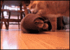 original45.gif