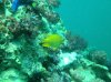 IMG_4480.jpg