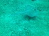 IMG_4476.jpg