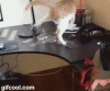 dc66b248jw1efgd1p8z6rg206o05knjy.gif