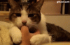 dc66b248jw1efgd3w89axg20b4079tk9.gif