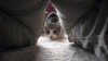 5-140321143615G4.gif