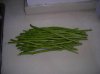 Recette 082.jpg