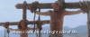 life of Brian.gif