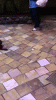 eefc80c656ea24ff9f4af1d840be902a.gif