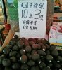 avo2.jpg