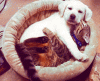 giphy-3.gif