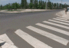 Moving-animated-picture-walking-the-dog.gif