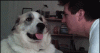 giphy-3.gif