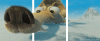 12794603_170728573111_2.gif