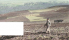 upload_2014-7-7_12-2-0.png