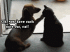 tumblr_n39dcrFOnN1qk4wk0o1_4001.gif