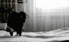 b28db48cgw1eh4aggw86dg20af06fe811.gif