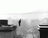 tumblr_mx33ixRpJB1rndxg5o5_500.gif