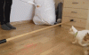 tumblr_n06ucvPGX31rmwzkdo1_400.gif