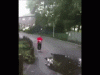 71021e17gw1eidbtezs57g206o050dzx.gif