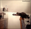 36-cat-jump-fail-gif.gif