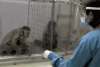 1-14050Q93132R9.gif