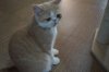 DSC03499_resultat.JPG