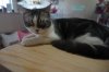 DSC03566_resultat.JPG