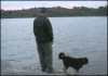 42c3bc315c6034a860e20f2dc913495408237604.gif