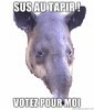 Sus-au-Tapir-votez-pour-moi.jpg