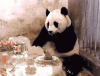 545e26ea757ed.gif