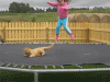 545ed921756df.gif