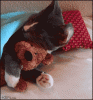 slide_346392_3644793_free.gif