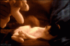 slide_343045_3555967_free.gif
