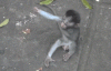 giphy-1.gif