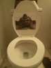 wc.jpg