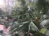 webwxgetmsgimgg.jpeg