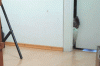 tumblr_ng137virsl1svxaato1_400.gif