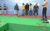217.gif