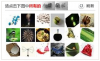 captcha1.png