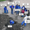 nouvelle_facon_de_travailler-d7b710.gif