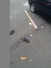 chaussures 2.jpg