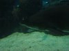 DSC03589.JPG