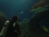 DSC03616.JPG