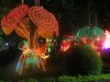 midfestival-6.jpg