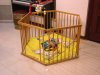 DSC00013.jpg