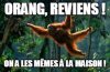 Orang reviens.jpg