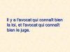avocat.jpg
