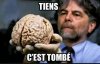 cerveau.jpg