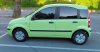 211--panda-verte2-1.jpg